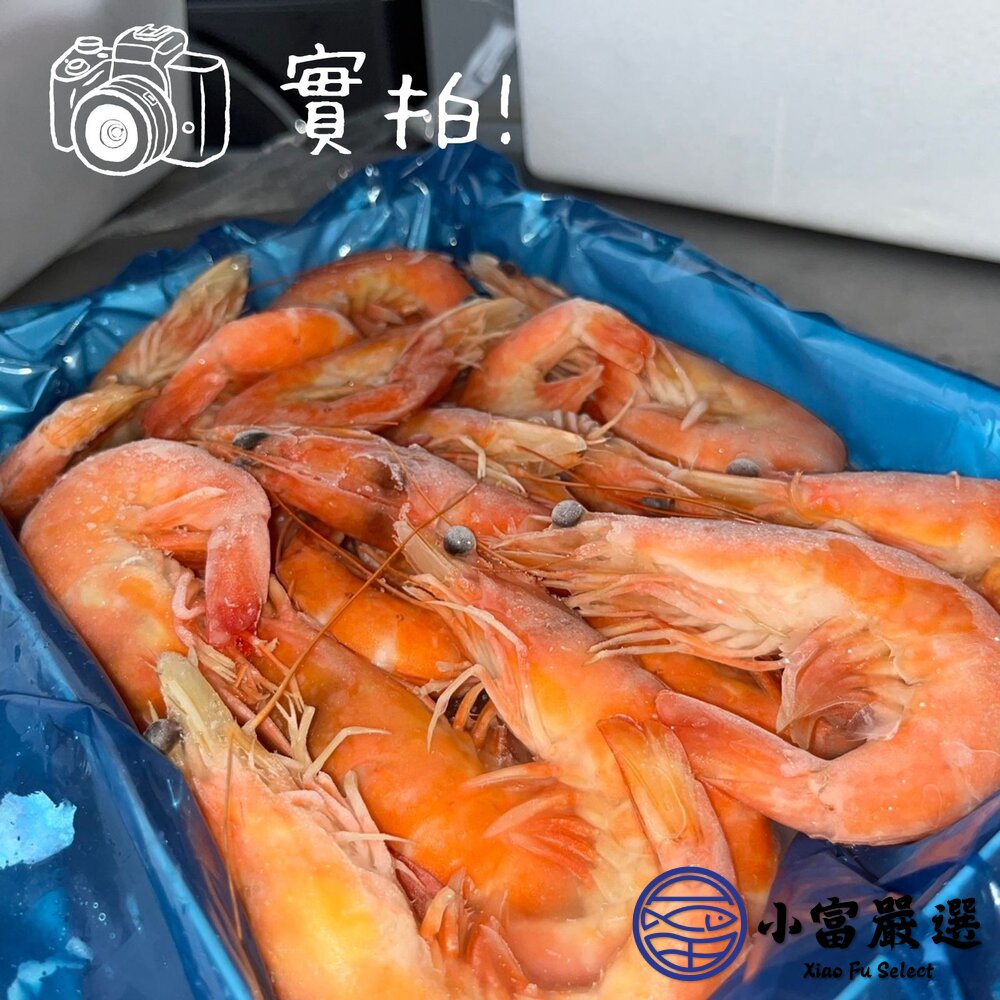 熟白蝦 熟凍白蝦 急凍白蝦 新鮮熟白蝦 (多規格選擇)-圖片-3