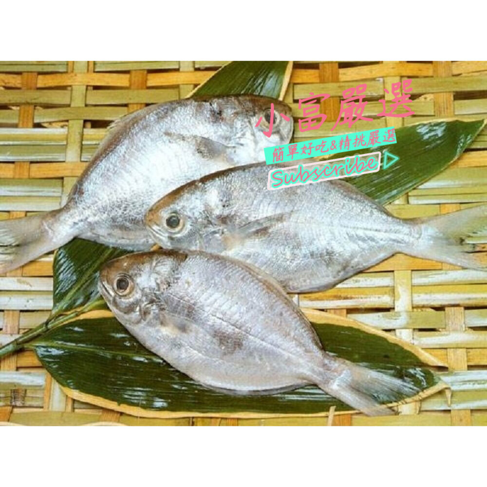 22139807405-77小富嚴選海鮮其他魚項-(肉魚)(肉鯧)(肉鯽魚)(肉好多活冷新鮮肉魚)(肉鯽魚)特價一尾10元一件100尾上下