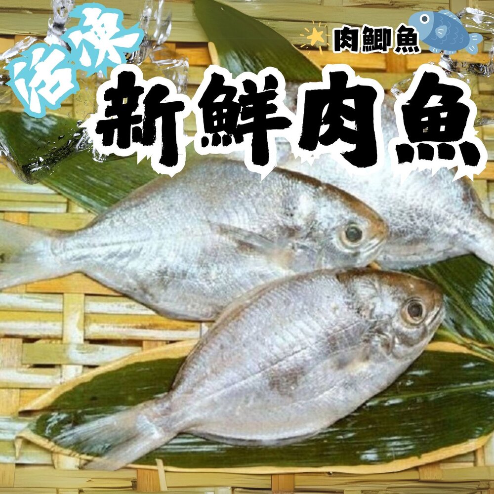 22139807405-台灣肉魚(三去)100尾上下/約9.5kg 肉鯽魚 肉鯧 新鮮肉魚