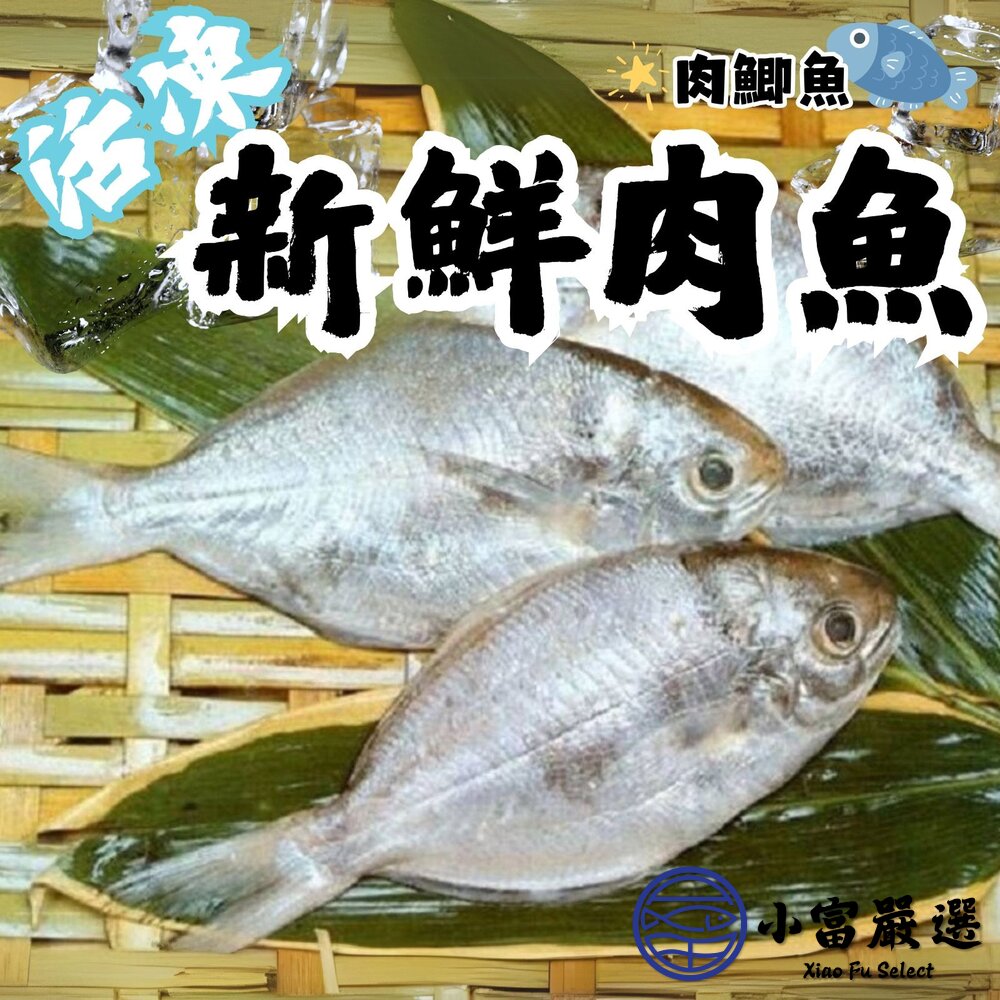 台灣肉魚(三去)100尾上下/約9.5kg肉鯽魚肉鯧新鮮肉魚