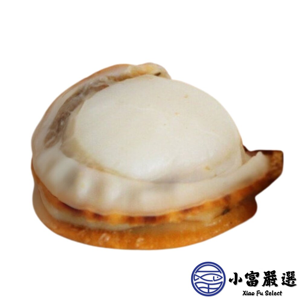 櫛孔帆立貝 扇貝肉 櫛孔貝 帆立貝 (1000g/包)-圖片-1