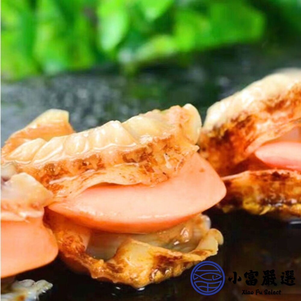 櫛孔帆立貝 扇貝肉 櫛孔貝 帆立貝 (1000g/包)-圖片-2