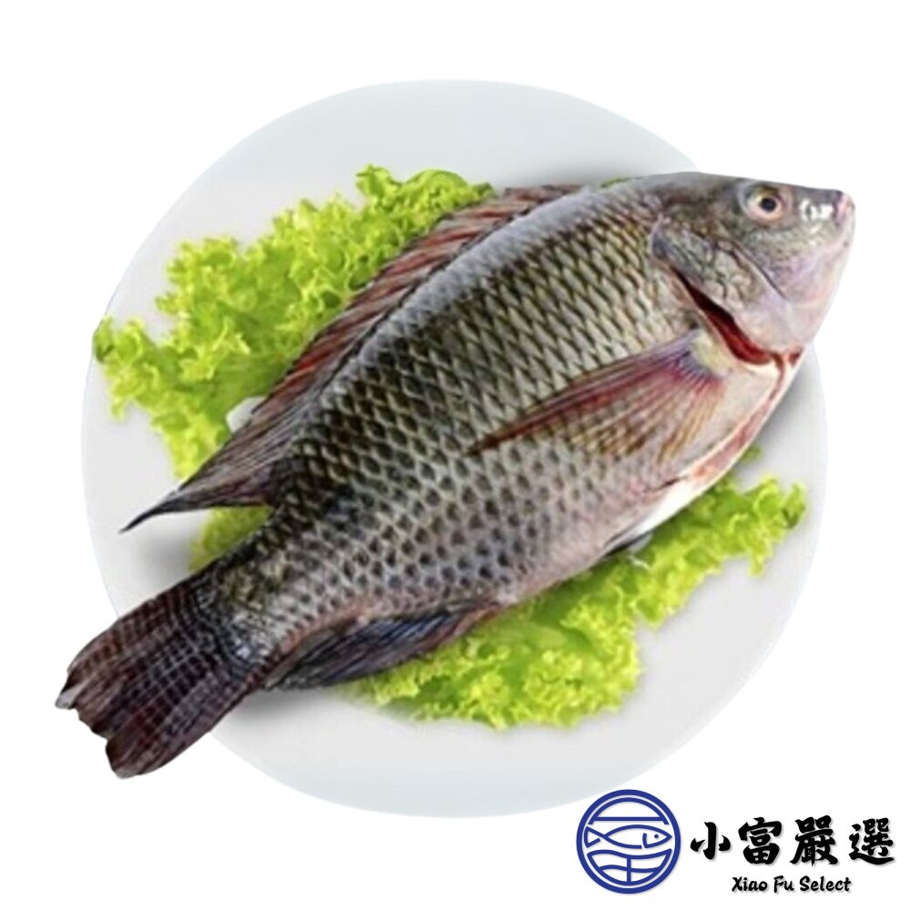 台灣鯛吳郭魚 三去吳郭魚 台灣鯛 三去台灣鯛魚 吳郭魚 約30尾 (300/400g/尾)-圖片-1