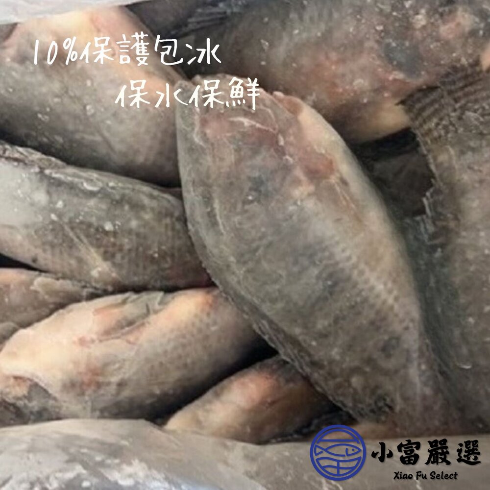 台灣鯛吳郭魚 三去吳郭魚 台灣鯛 三去台灣鯛魚 吳郭魚 約30尾 (300/400g/尾)-圖片-3
