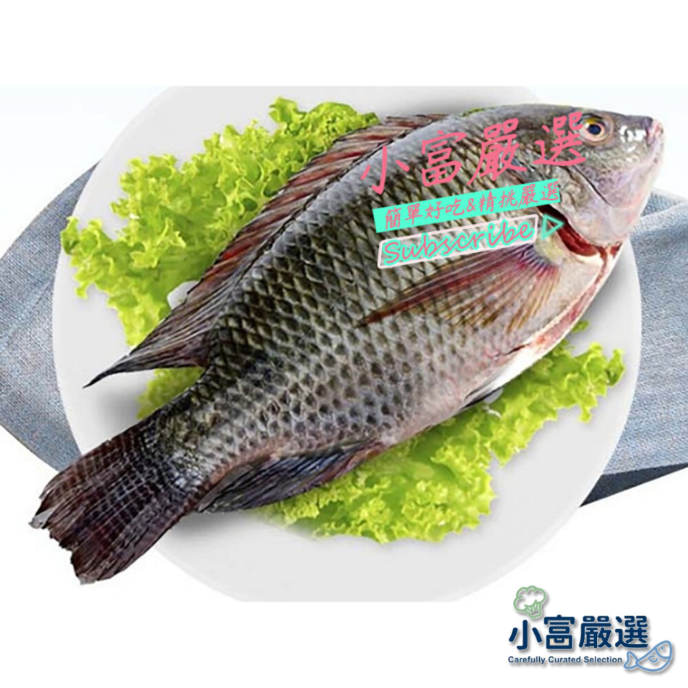 22439785768-鯛魚鱸魚土魠類-台灣鯛吳郭魚整尾一件尾上下(三去的喔)特價元 另有台灣鯛魚片/