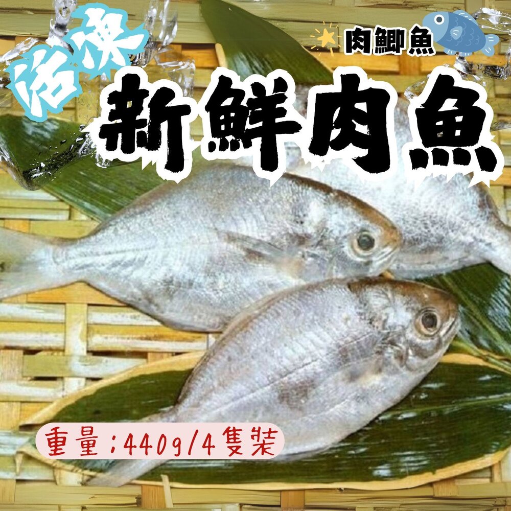 22640345464-肉好多活冷新鮮肉魚 肉魚 肉鯧 肉鯽魚(380g/4隻)