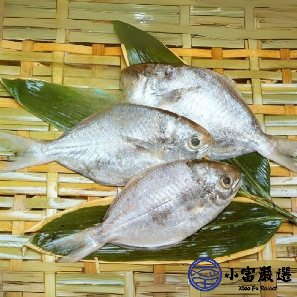 肉好多活冷新鮮肉魚 肉魚 肉鯧 肉鯽魚(380g/4隻)-圖片-2