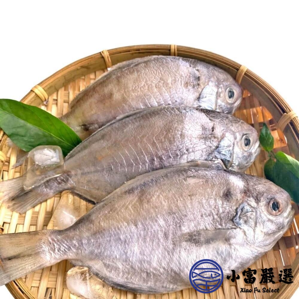 肉好多活冷新鮮肉魚 肉魚 肉鯧 肉鯽魚(380g/4隻)-圖片-3