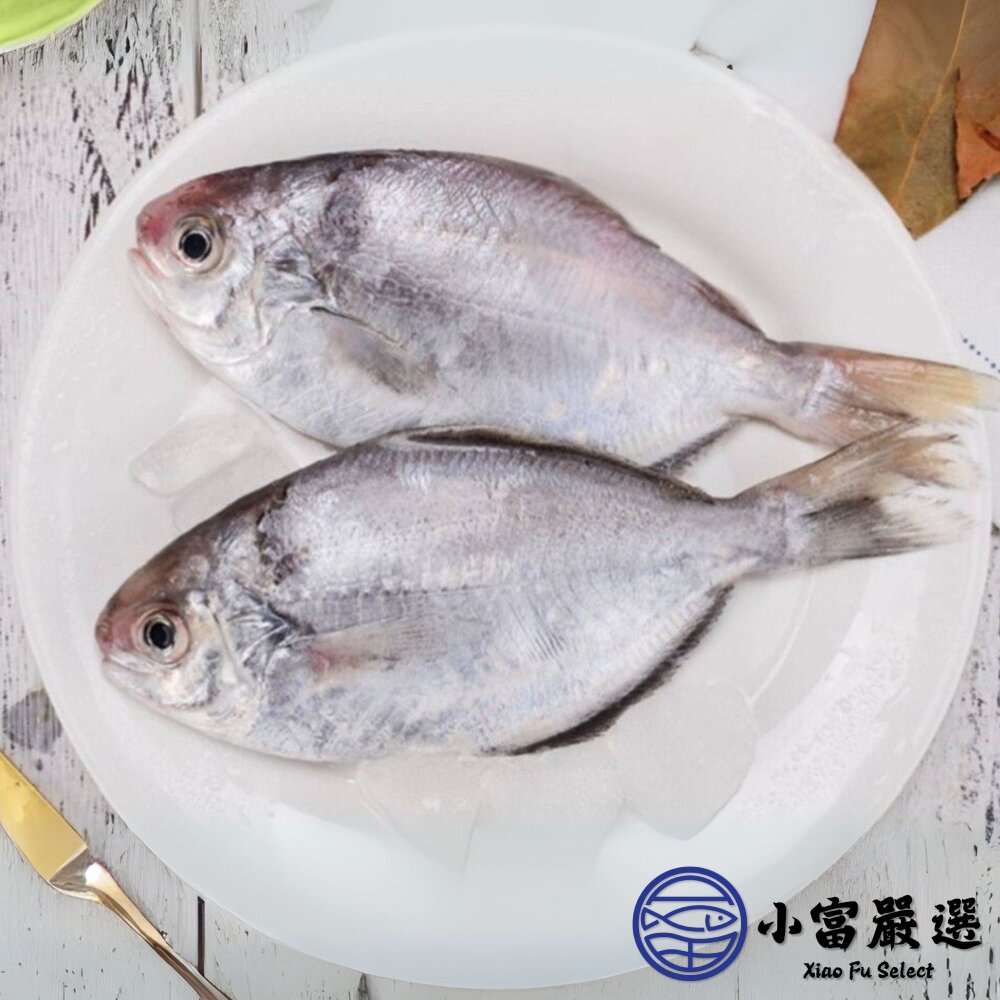 肉好多活冷新鮮肉魚 肉魚 肉鯧 肉鯽魚(380g/4隻)-圖片-4