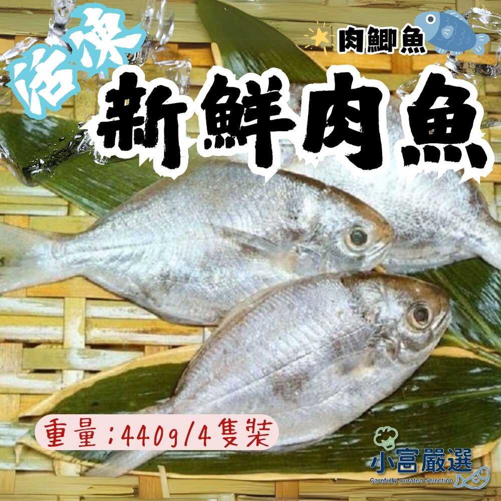 22640345464-海鮮其他魚類-(肉魚)(肉鯧)(肉鯽魚)(肉好多活冷新鮮肉魚)(肉鯽魚)特價鯛魚下巴/浦燒鯛