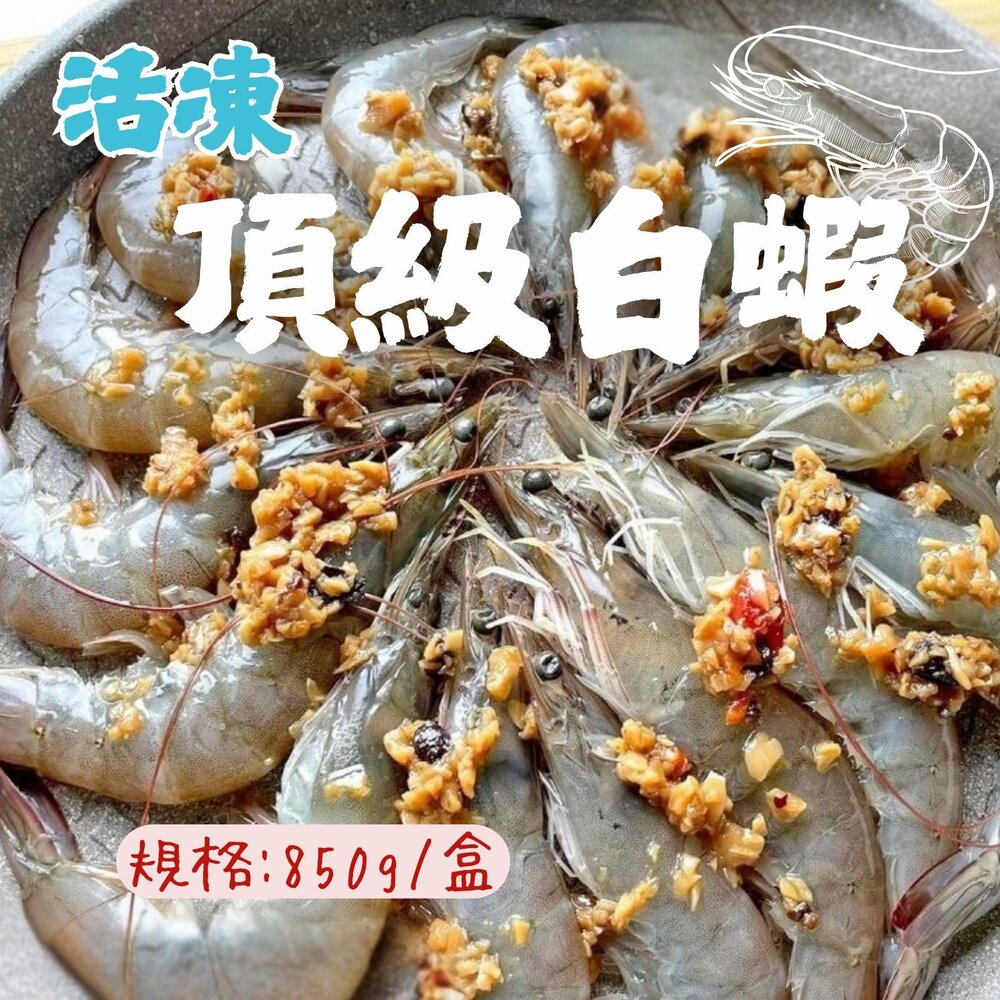 24065069137-活凍頂級白蝦 生鮮蝦子 紅太陽 活動白蝦  40/50 (巴拿馬/850g/盒)