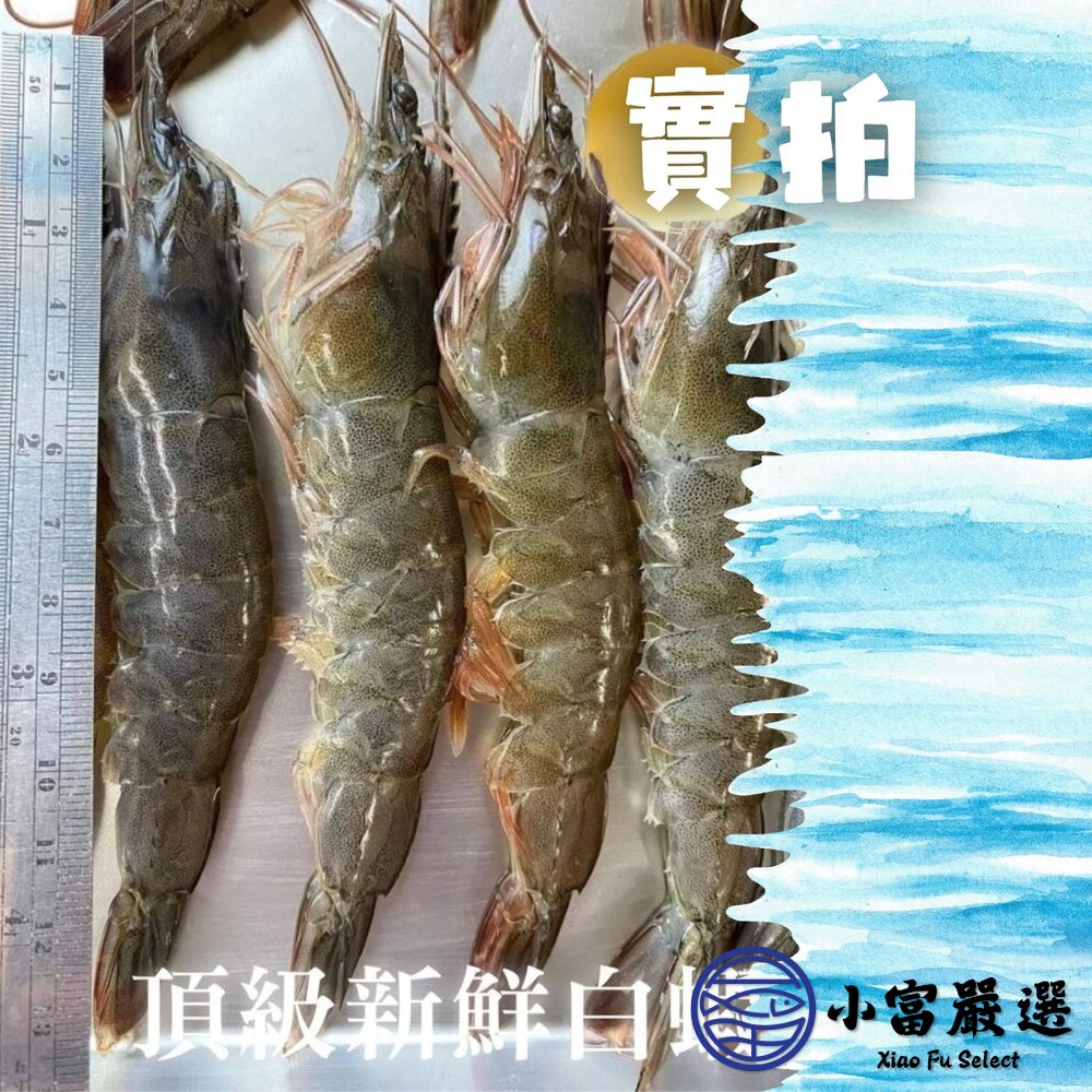 活凍頂級白蝦 生鮮蝦子 活凍白蝦 50/60 (巴拿馬/850g/盒)-圖片-3