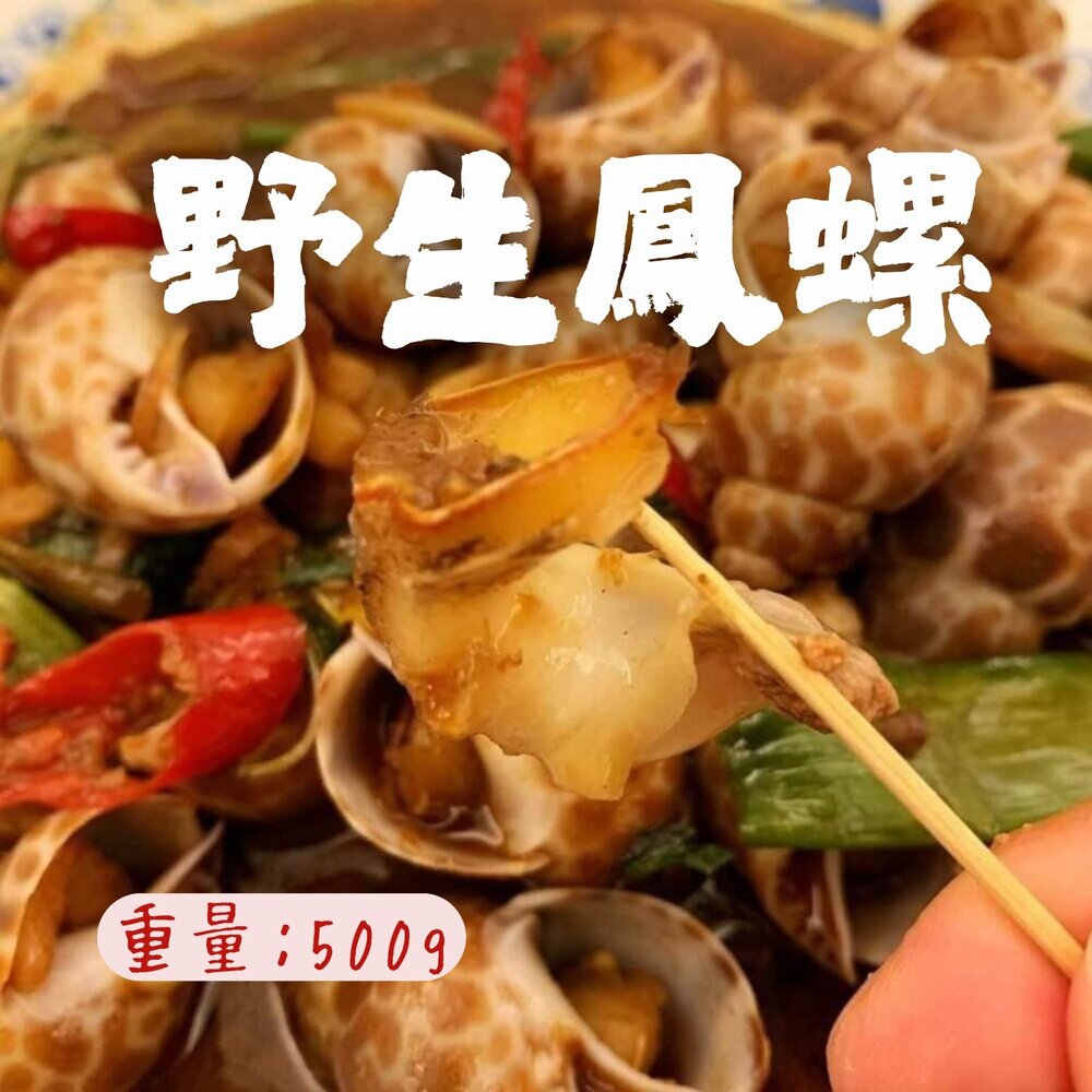 240903231728-海鮮螺貝類 野生鳳螺粒 印度鳳螺 (500g/包)(2000g/包)