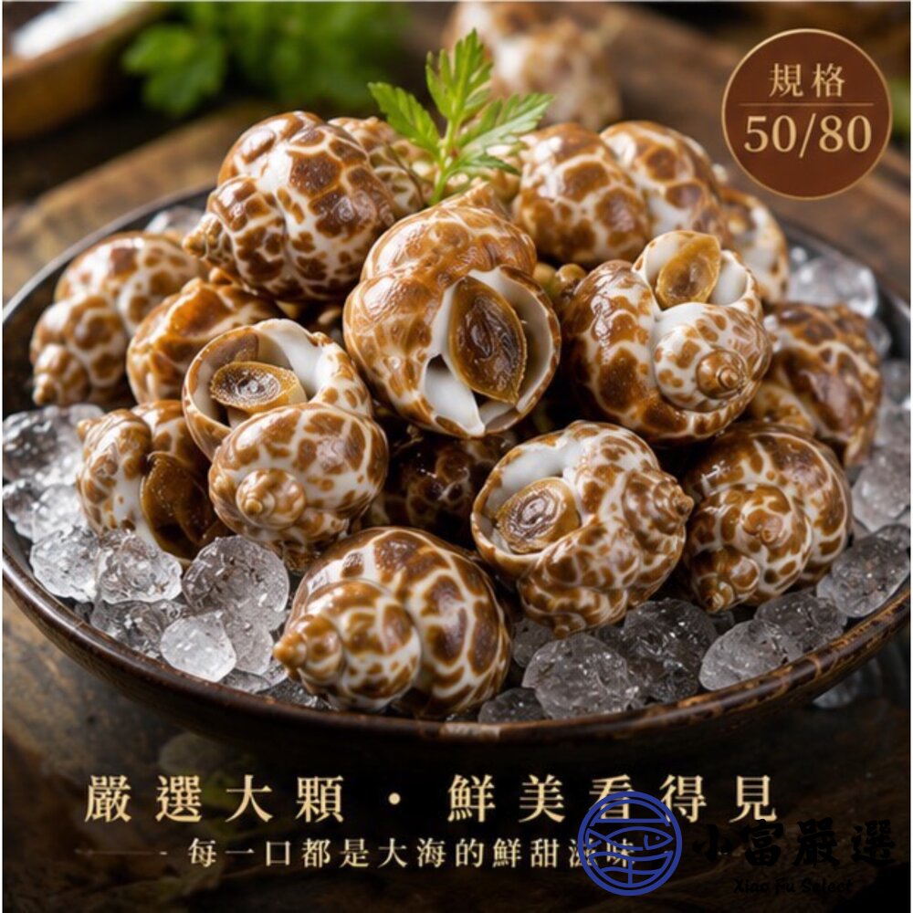 野生鳳螺粒 印度鳳螺 (500g/包)(2000g/包)-圖片-6