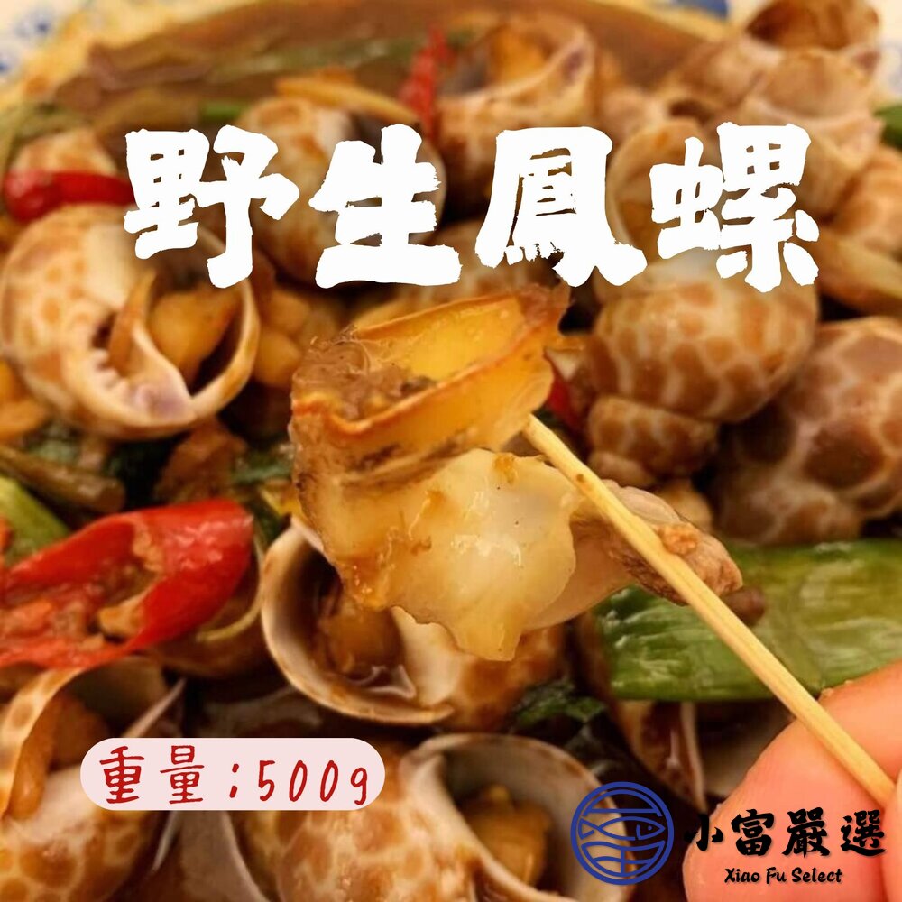 240903231728-海鮮螺貝類 野生鳳螺粒 印度鳳螺 (500g/包)
