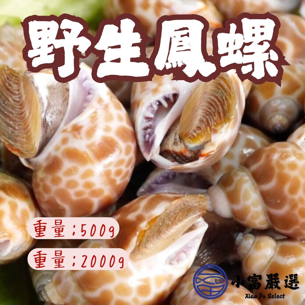 野生鳳螺粒 印度鳳螺 (500g/包)(2000g/包) 封面照片