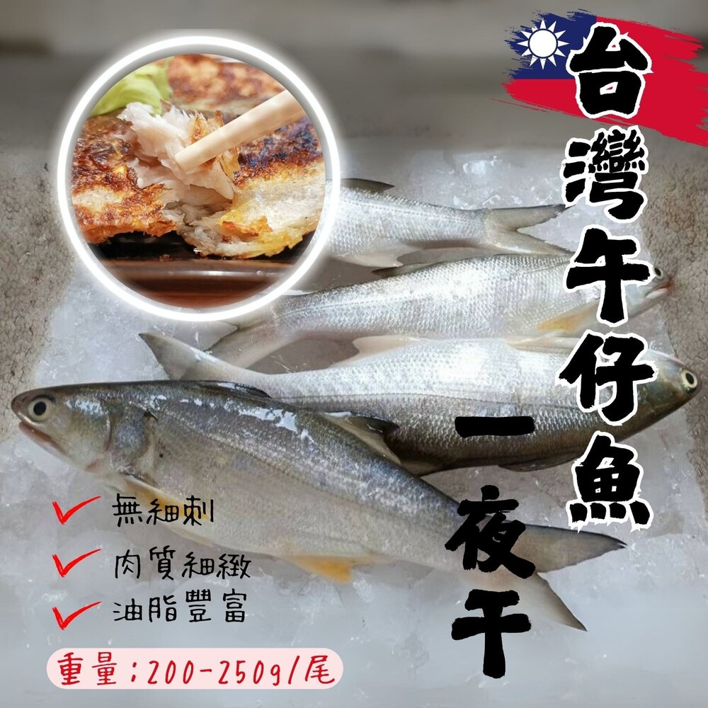 241006091259-台灣午仔魚一夜干 (200-250g/大尾)