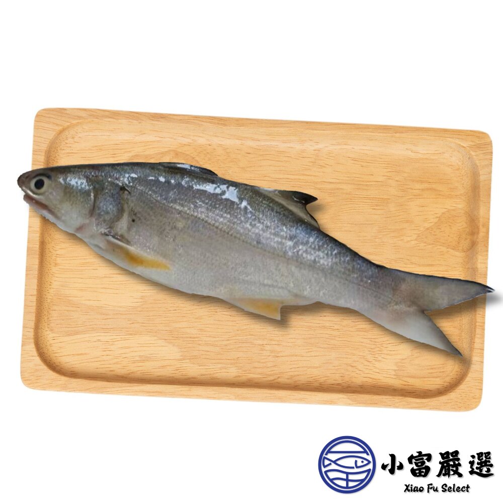 台灣午仔魚一夜干 (200-250g/大尾)-圖片-1