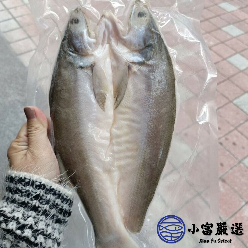 台灣午仔魚一夜干 (200-250g/大尾)-圖片-5