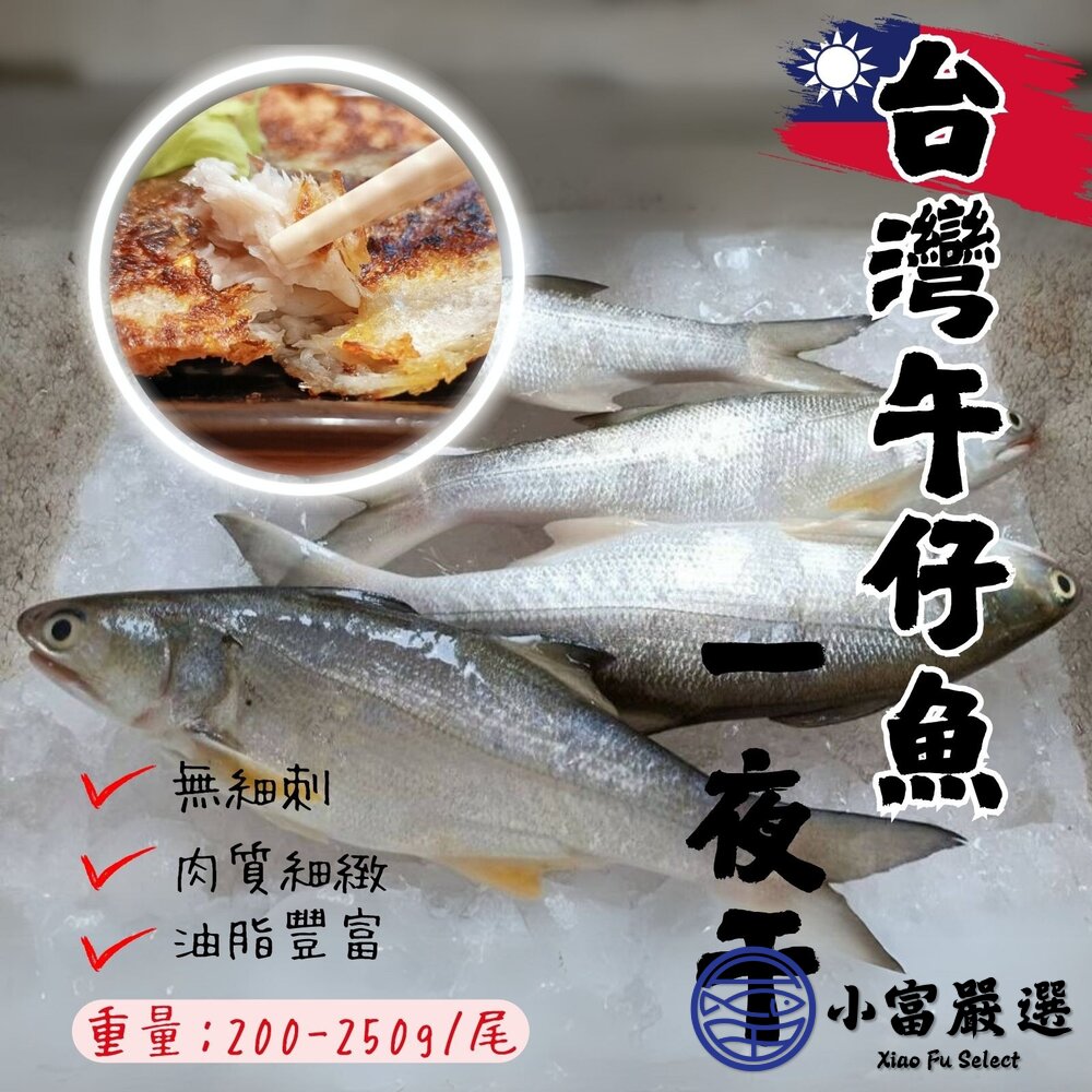 台灣午仔魚一夜干 午仔魚 一夜干 新鮮魚(200~250g/大尾)-圖片-6