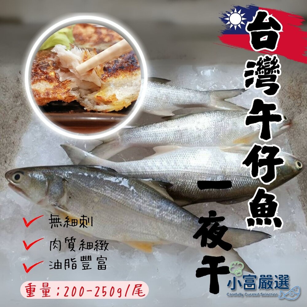 241006091259-台灣午仔魚一夜干 (200-250g/大尾)