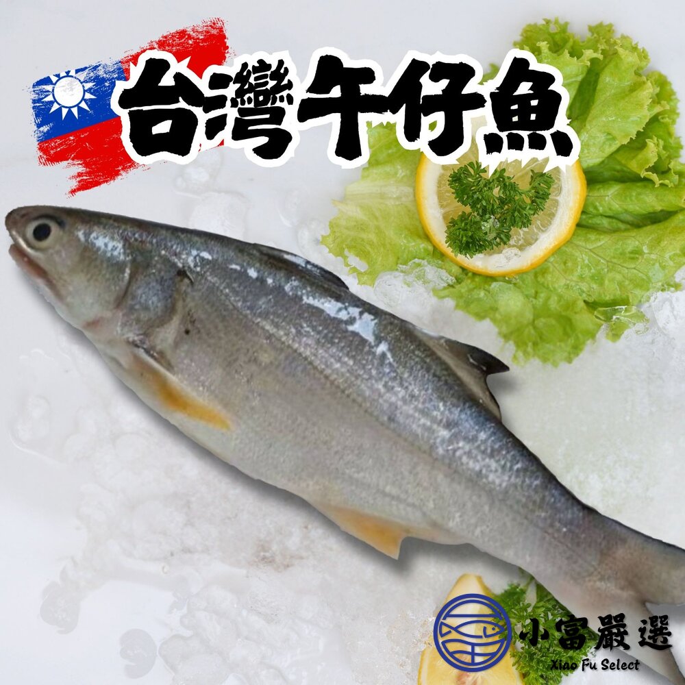 台灣午仔魚一夜干 午仔魚 一夜干 新鮮魚(200~250g/大尾) 封面照片