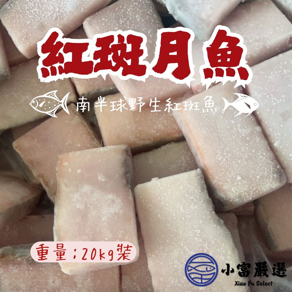241021141822-南半球野生紅斑魚 紅斑月魚 月魚片 (20公斤/裝)