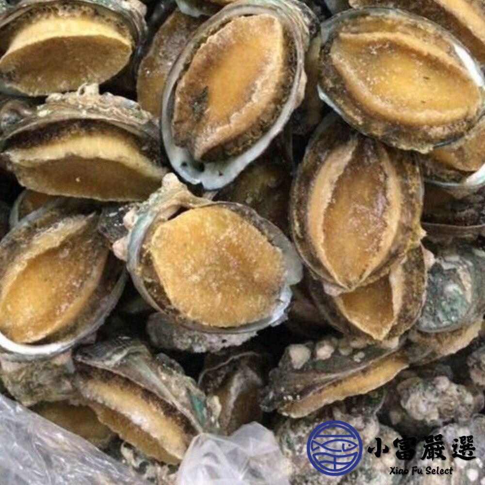 頂級帶殼鮑魚 有殼鮑魚 半殼鮑魚 24顆裝 (1000g/包)-圖片-2