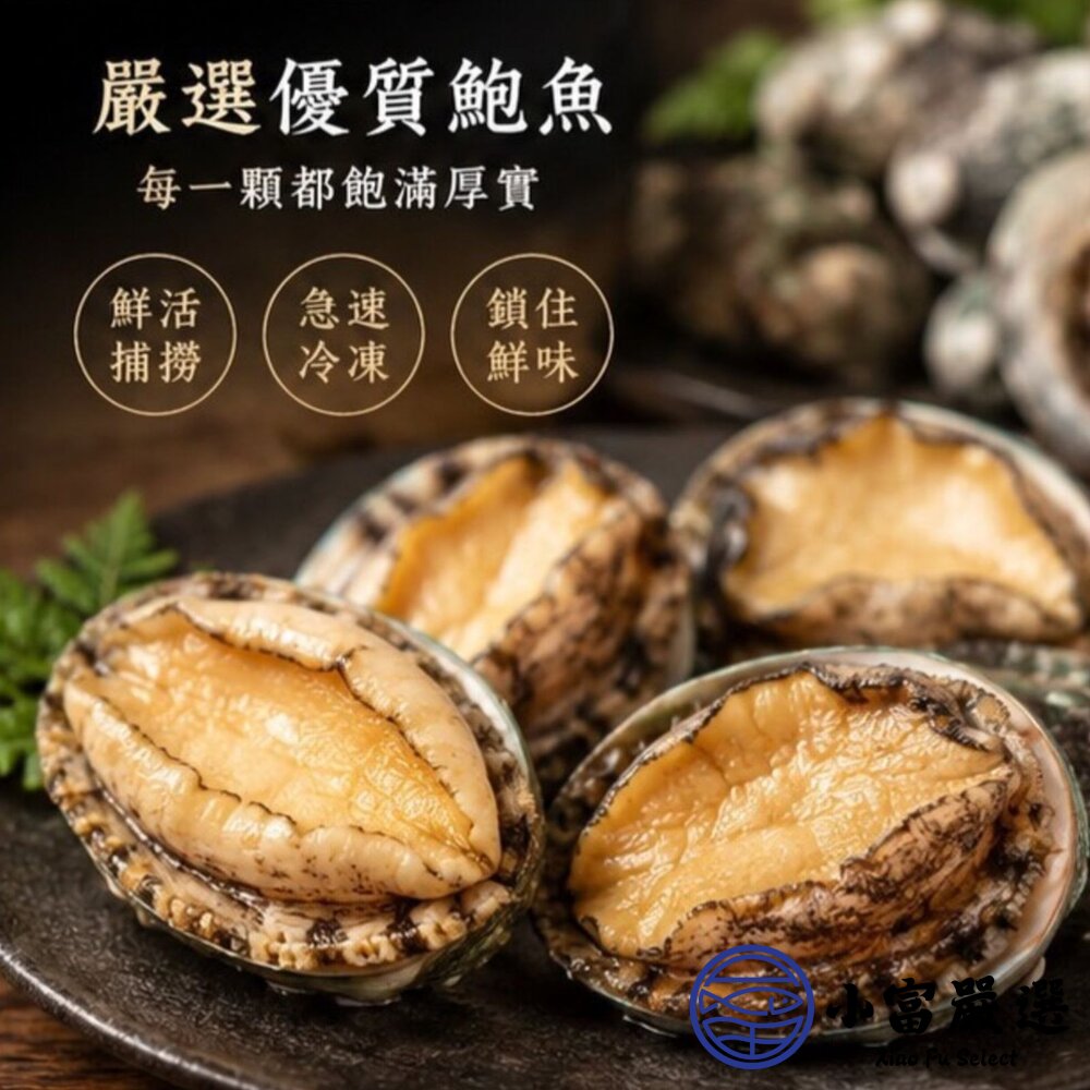 頂級帶殼鮑魚 有殼鮑魚 半殼鮑魚 30顆裝 (1000g/包)-圖片-3