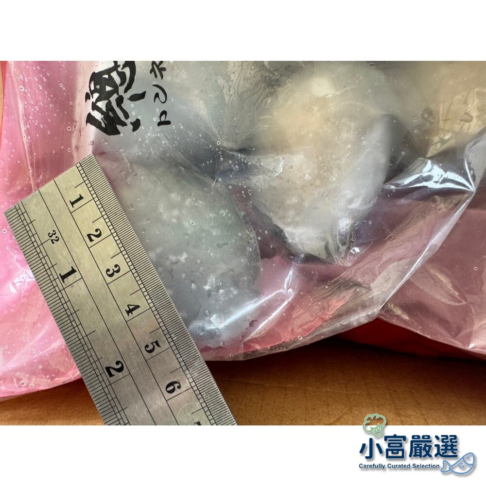 24129383619-海鮮鮑魚類-頂級帶殼鮑魚-有殼鮑魚-24P半殼鮑魚1000g(實重700g)裝 #保證鮮甜肉肥飽滿