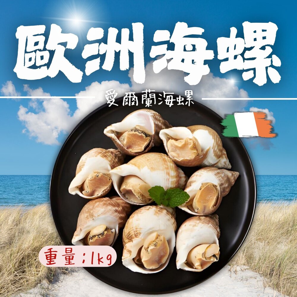 24581446075-海爾蘭海螺 歐洲海螺 海皇螺 熟凍海螺 巨大海螺 (多種規格)