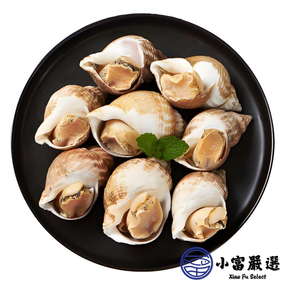 海爾蘭海螺 歐洲海螺 海皇螺 熟凍海螺 巨大海螺 (多種規格)-圖片-1