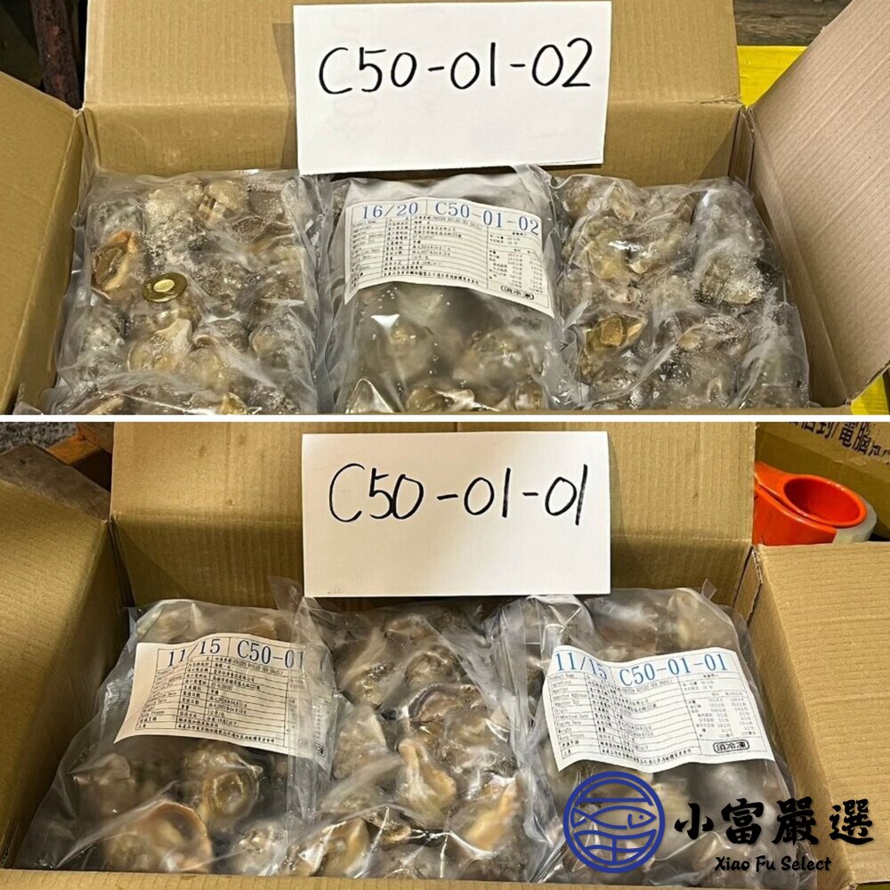 海爾蘭海螺 歐洲海螺 海皇螺 熟凍海螺 巨大海螺 (多種規格)-圖片-5