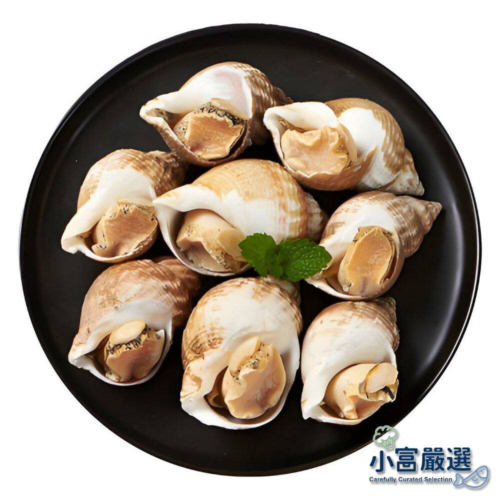 24581446075-螺貝類-海爾蘭海螺-歐洲海螺-海皇螺-熟凍海螺-巨大海螺 kg 規格有(/)