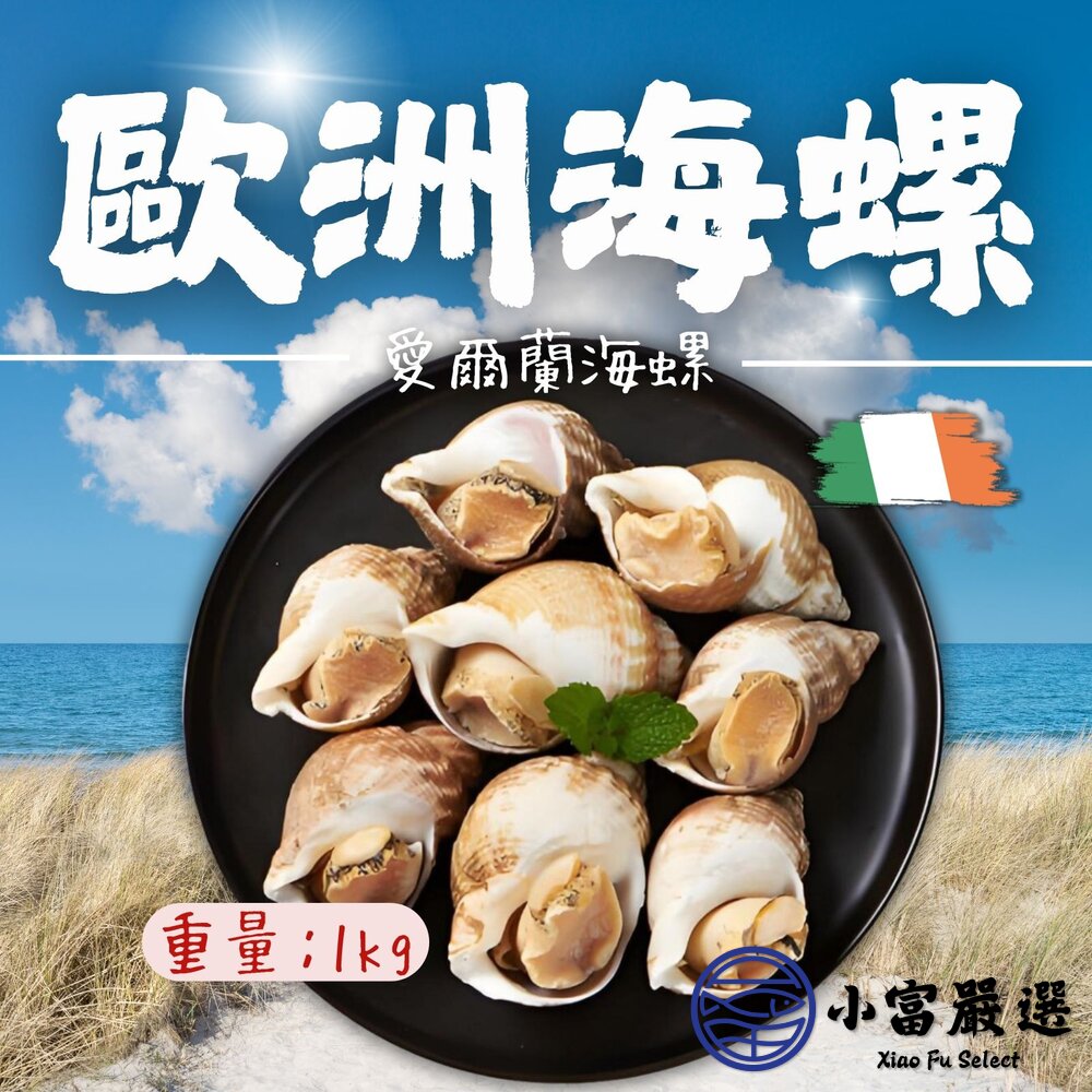 24581446075-海爾蘭海螺 歐洲海螺 海皇螺 熟凍海螺 巨大海螺 (多種規格)