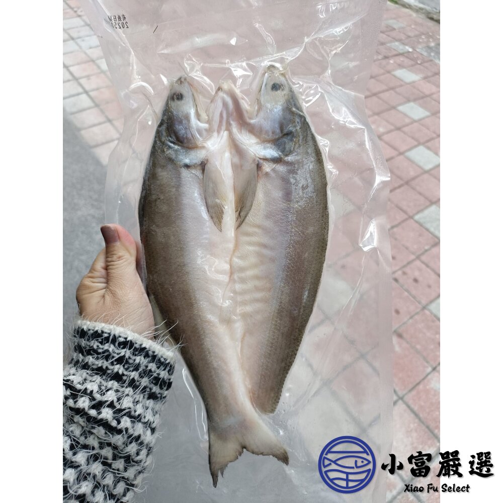 台灣午仔魚 一夜干 大尾 一夜干 午仔魚 午仔魚(200/250g)-圖片-5