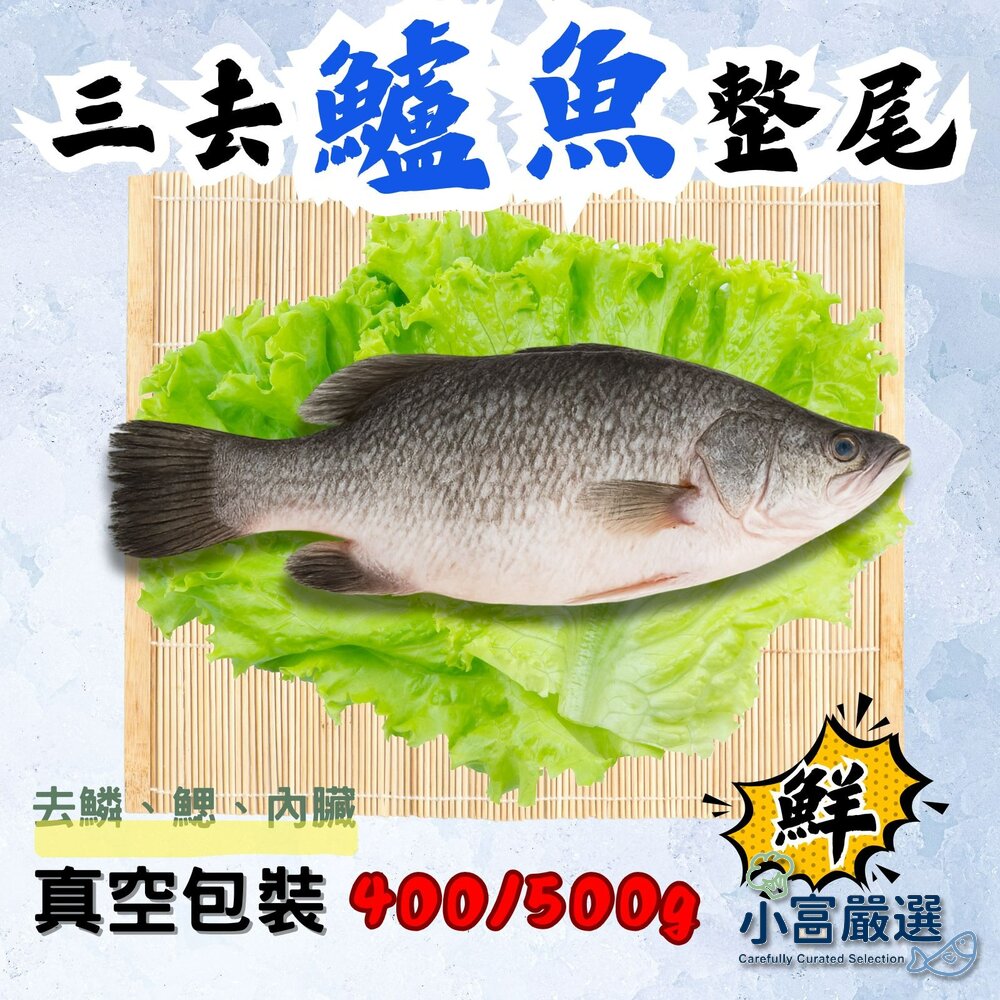 250424165355-三去金目鱸魚 三去鱸魚 去內臟去鰓去鱗 (400/500g 一尾) 實重 真空包裝
