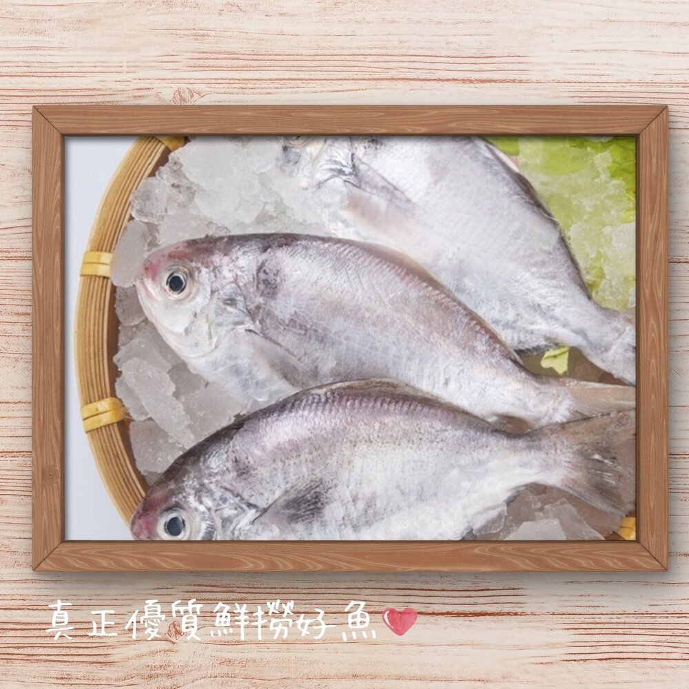 250520182202-肉魚 肉鯧 肉鯽魚 肉好多活冷新鮮肉魚 (380g/包4隻)