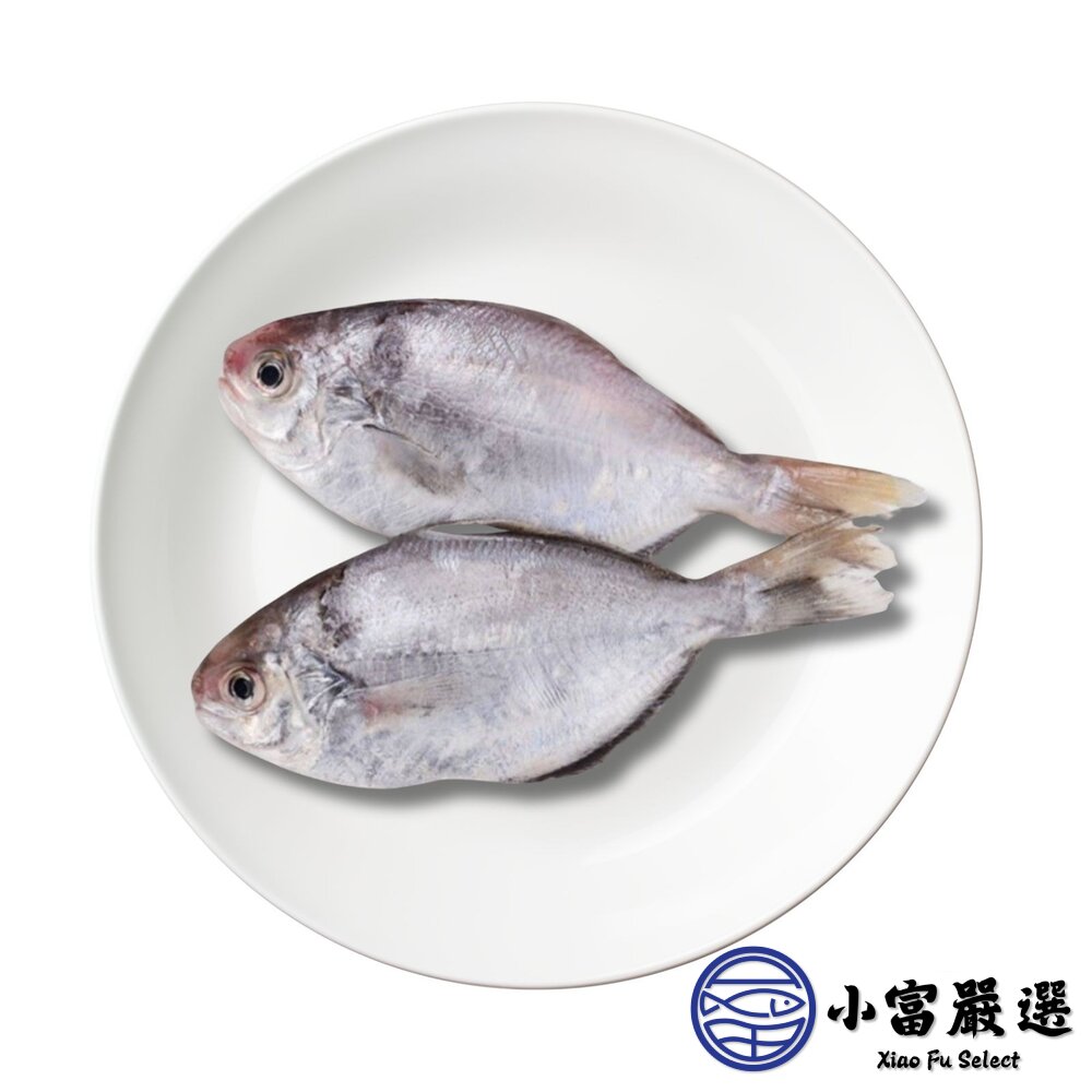 肉魚 肉鯧 肉鯽魚 肉好多活冷新鮮肉魚 (380g/4隻/包)-圖片-1
