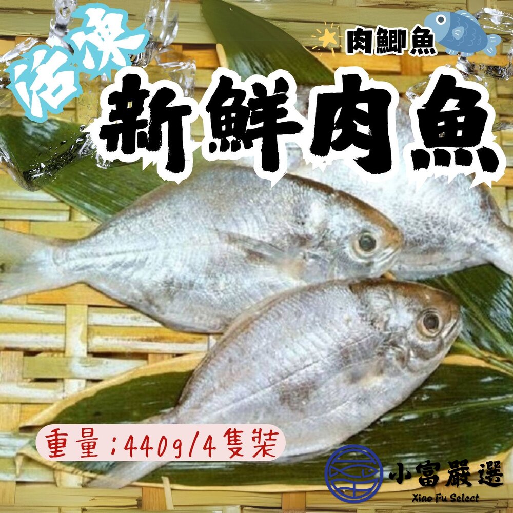 肉魚 肉鯧 肉鯽魚 肉好多活冷新鮮肉魚 (380g/4隻/包)-圖片-2