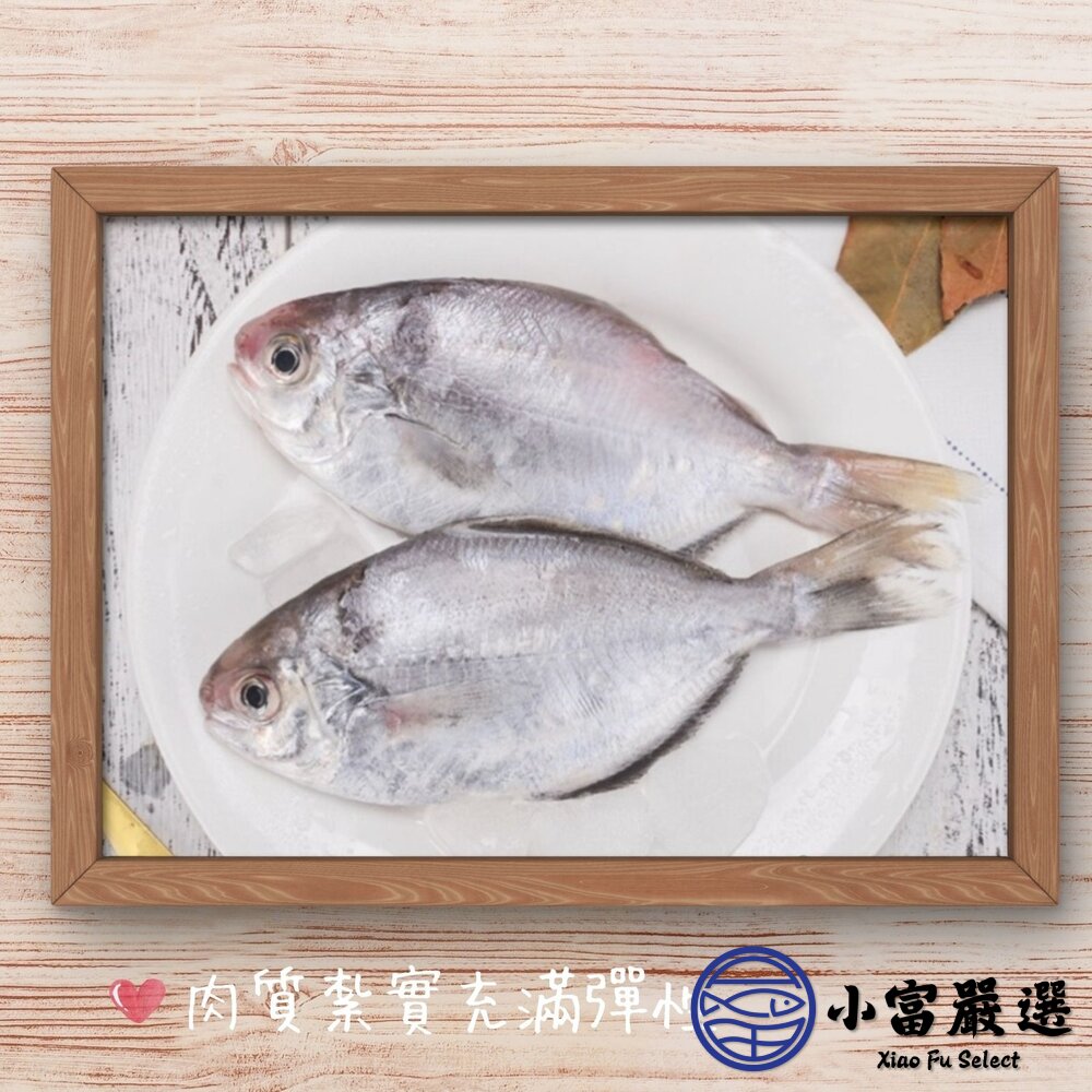 肉魚 肉鯧 肉鯽魚 肉好多活冷新鮮肉魚 (380g/包4隻)-圖片-3