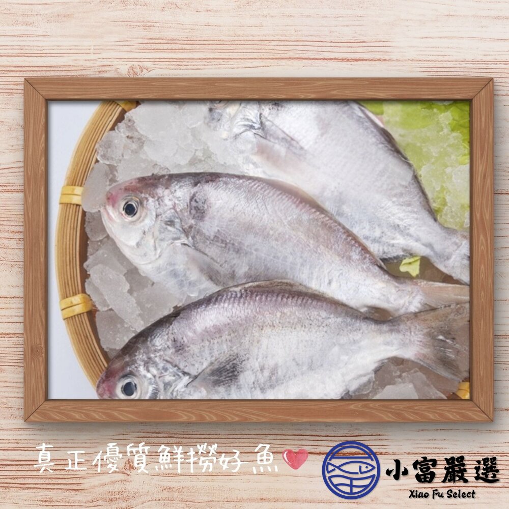 肉魚 肉鯧 肉鯽魚 肉好多活冷新鮮肉魚 (380g/4隻/包)-圖片-3