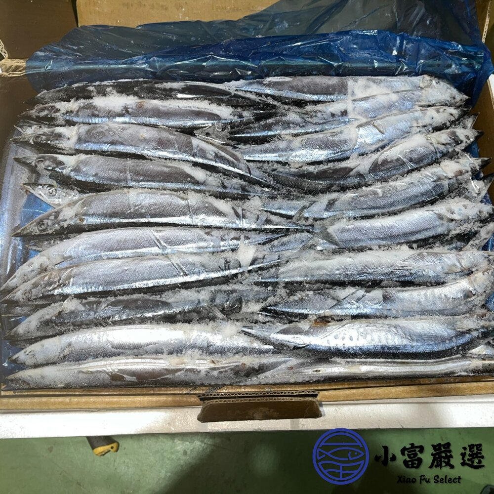 秋刀魚 2號/3號 烤秋刀魚 日本燒烤專用 (10公斤/箱)-圖片-2