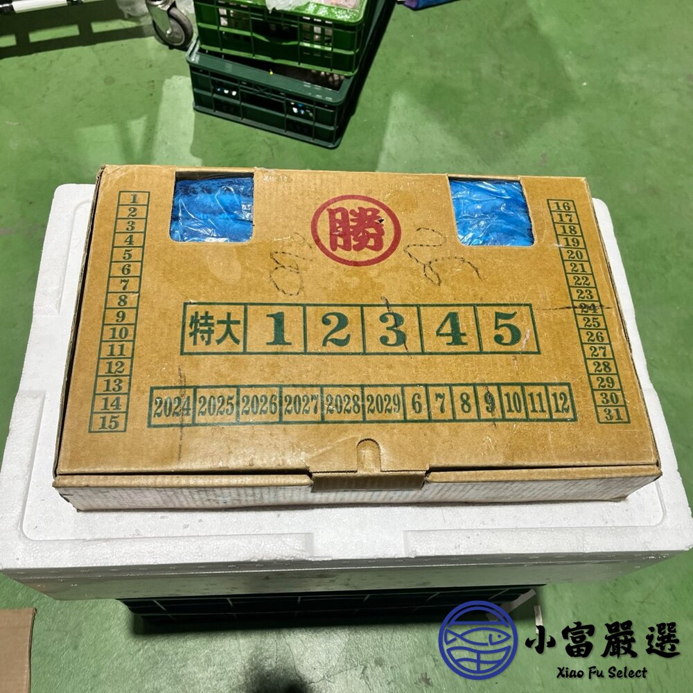 秋刀魚3號 烤秋刀魚 日本燒烤專用 (10公斤/箱)-圖片-3
