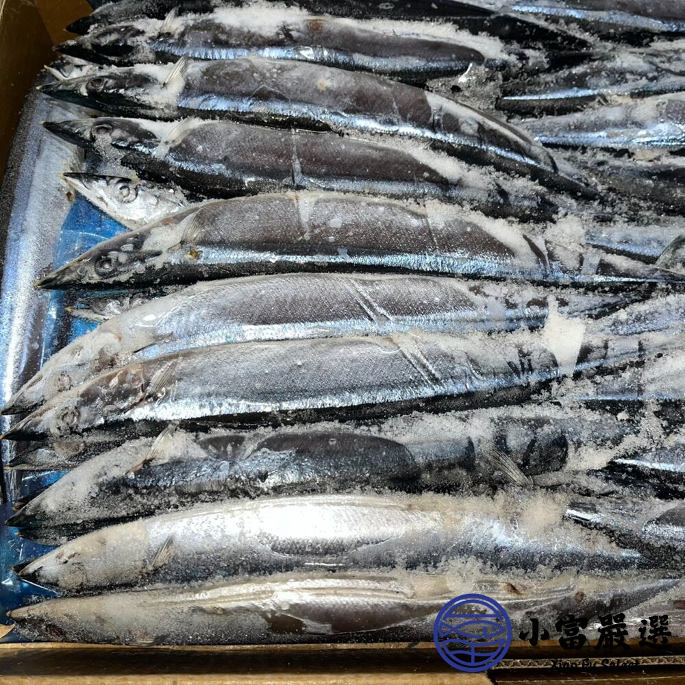 秋刀魚 2號/3號 烤秋刀魚 日本燒烤專用 (10公斤/箱)-圖片-6