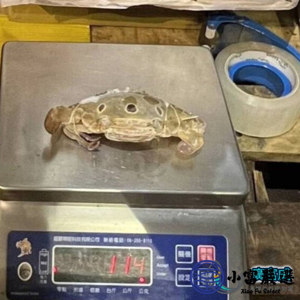 888三點蟹 萬里蟹母的 (名稱不是產地) 規格 (100-150g/6隻一包)-圖片-4