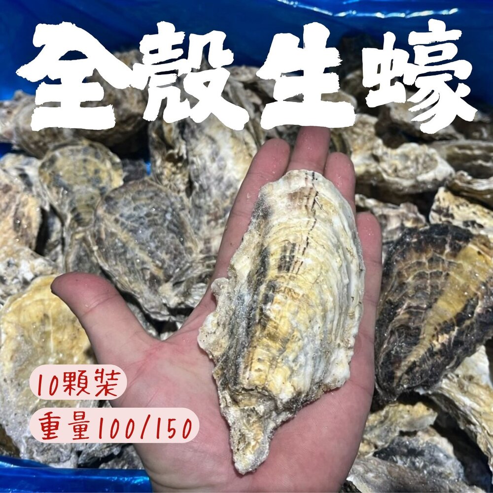 250605003244-日本全殼生蠔 日本宮城縣 兵庫縣生蠔 室津牡蠣 尺寸L (100/150) 10顆裝 (1000~1500g/包)