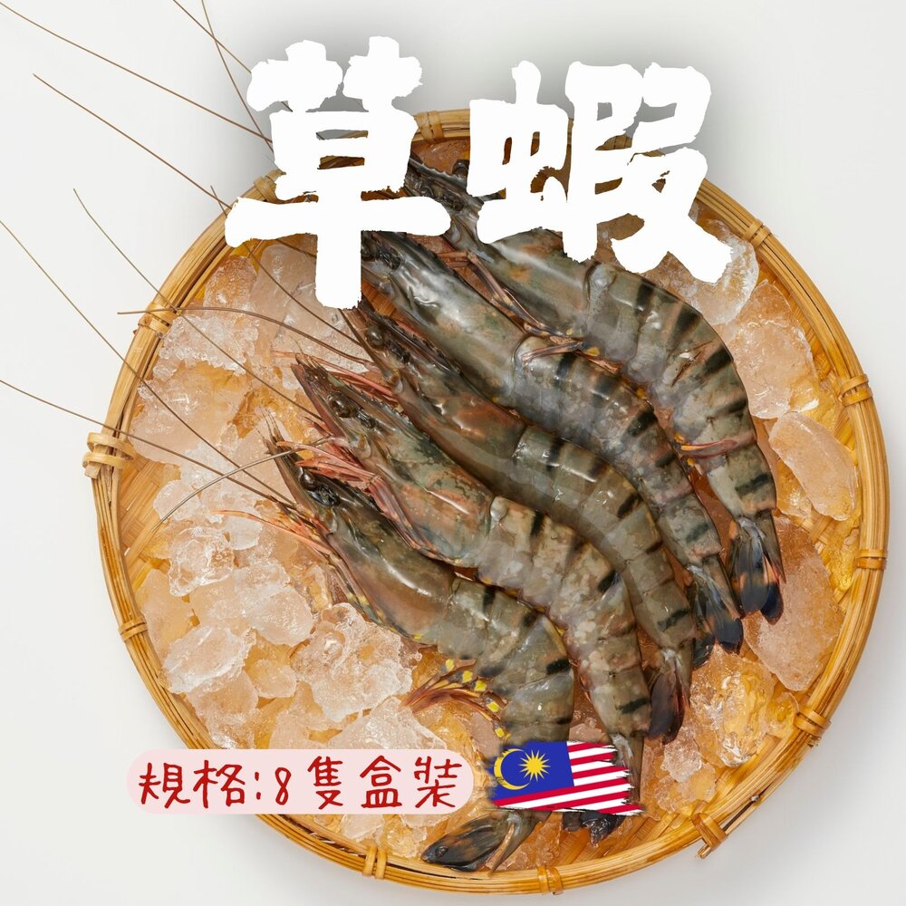 250609165102-活凍大草蝦 活凍草蝦 草蝦8尾 (250g盒)