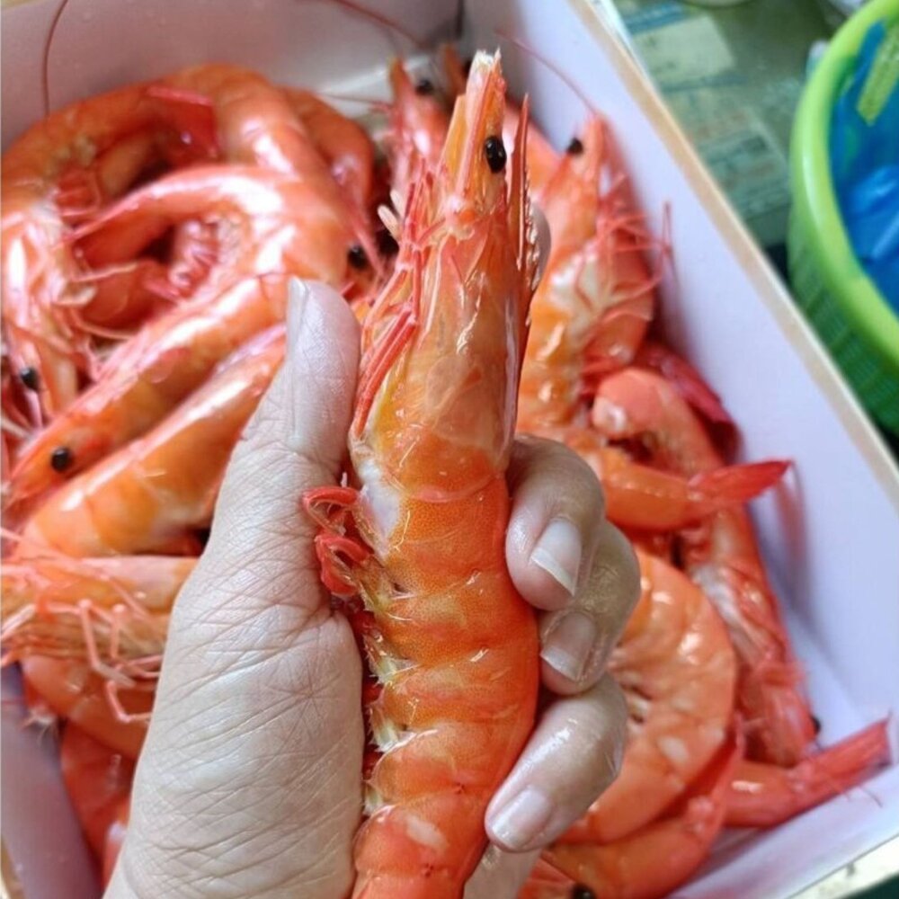 250704070606-出清 熟大白蝦 20/30 熟白蝦 超級大蝦 蝦肉Q彈 (1000g/包冰25%/盒)(2026.05.25到期)