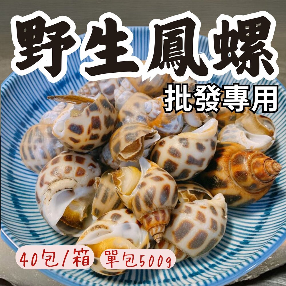 250706072612-2B-【批發專用】野生鳳螺粒 印度鳳螺 鳳螺 冷凍鳳螺 (40包/箱)